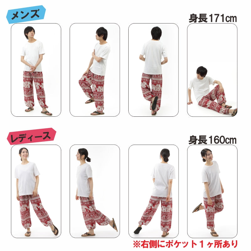 アジアンパンツ サルエルパンツ アラジンパンツ エスニック メンズ レディース ゾウＥ タイパンツ ユニセックス G